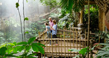 Welkom in de Jungle Dome, een wereld vol natuurlijke wonderen